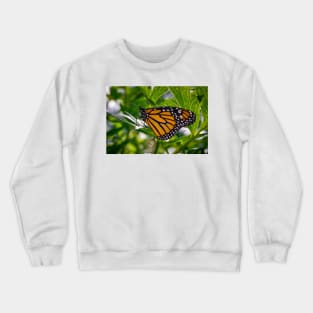 Monarch Butterfly 3 Crewneck Sweatshirt